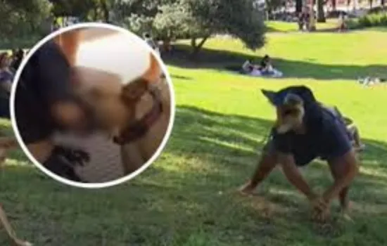 Therian muerde a chica en Argentina